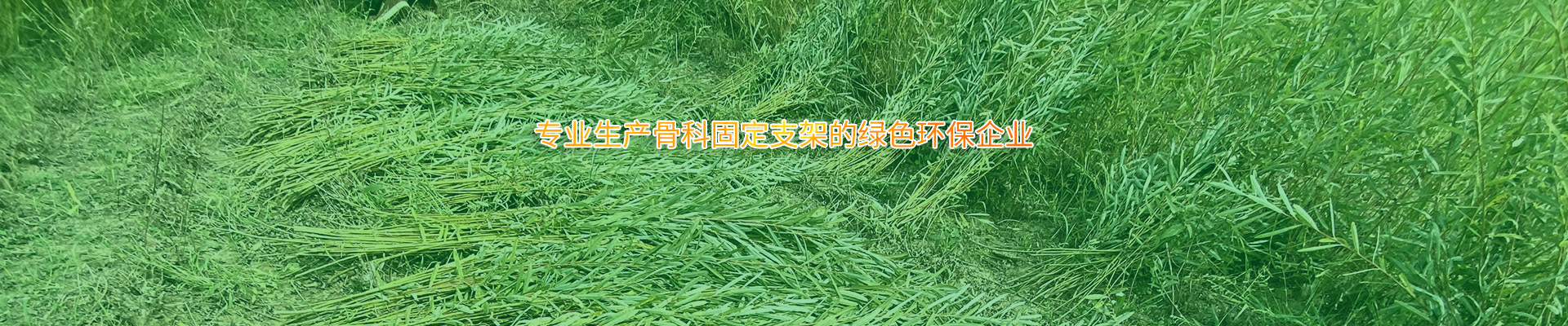 产品展示