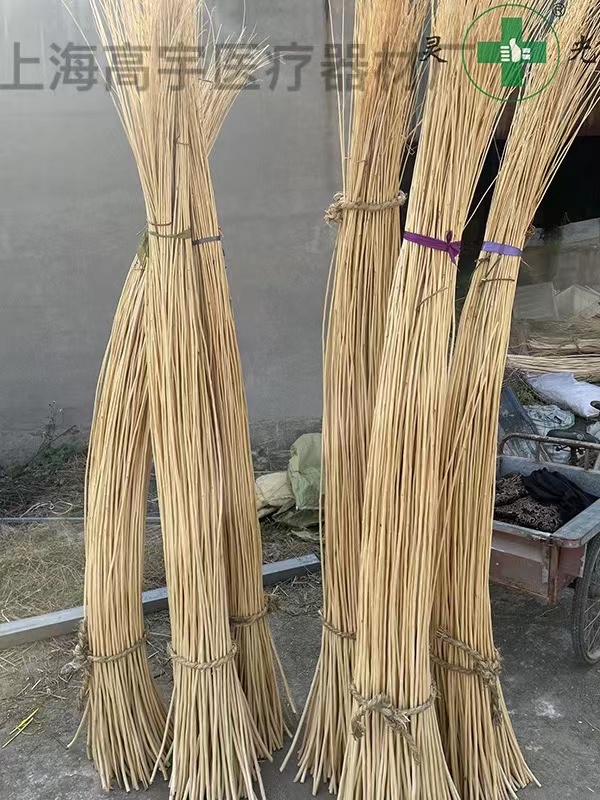 种植9.jpg