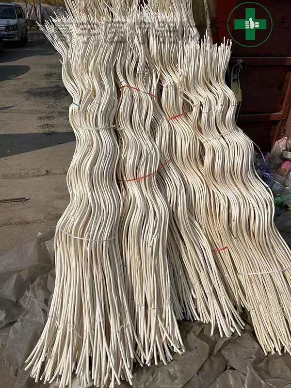 种植13.jpg